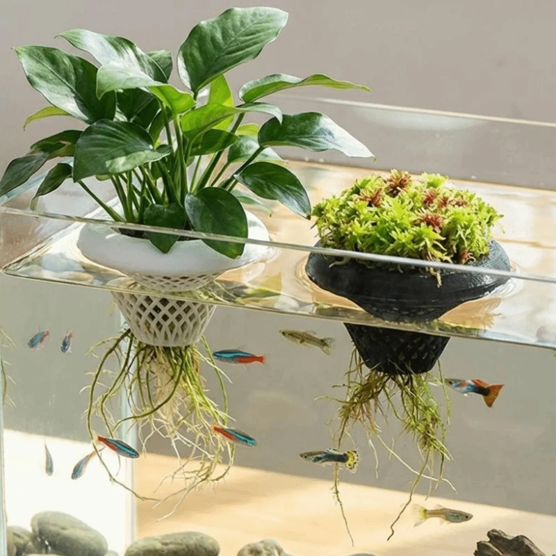 Planted Aquarium Jar - กระถางปลูกพืชน้ำแบบลอยได้, ที่วางต้นไม้น้ำแบบ 3 มิติ, กระถางปลูกพืชไฮโดรโปนิกส์สำหรับตู้ปลา, กระถางลอยน้ำสำหรับตู้ปลา