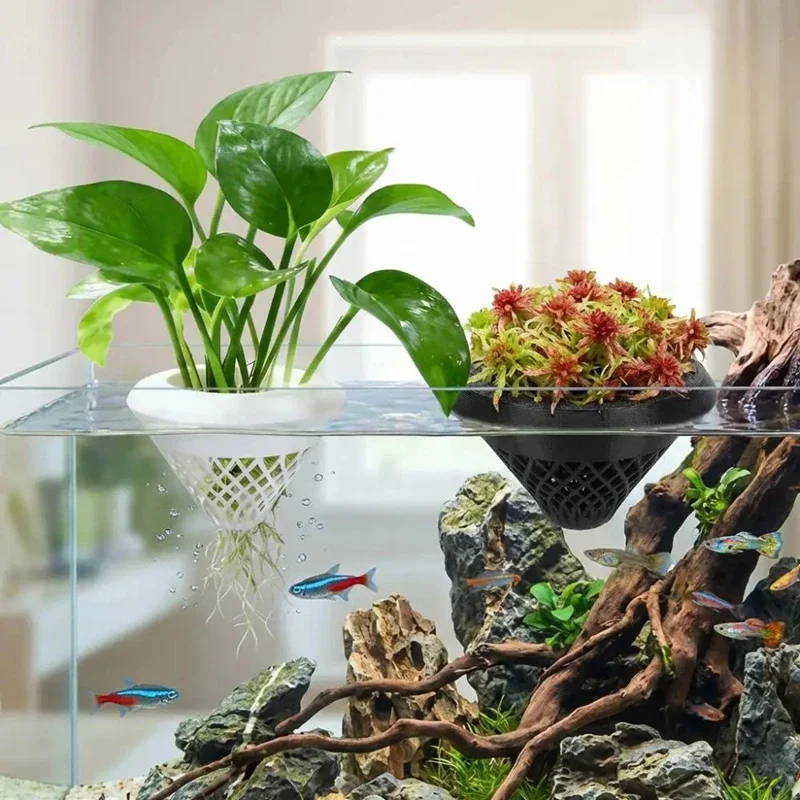กระถางปลูกพืชน้ำแบบลอยได้, ที่ - Planted Aquarium Jar บทวิจารณ์และราคา