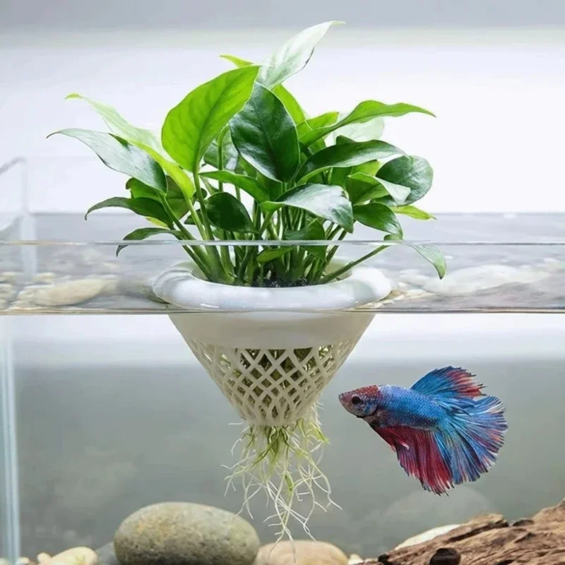 กระถางปลูกพืชน้ำแบบลอยได้, ที่ - Planted Aquarium Jar บทวิจารณ์และราคา