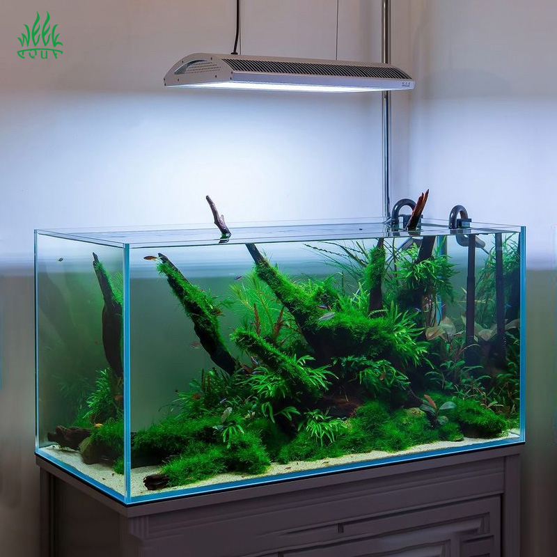 ไฟเลี้ยงตู้ปลา Week Aqua A430P - Planted Aquarium Aquascape บทวิจารณ์และราคา