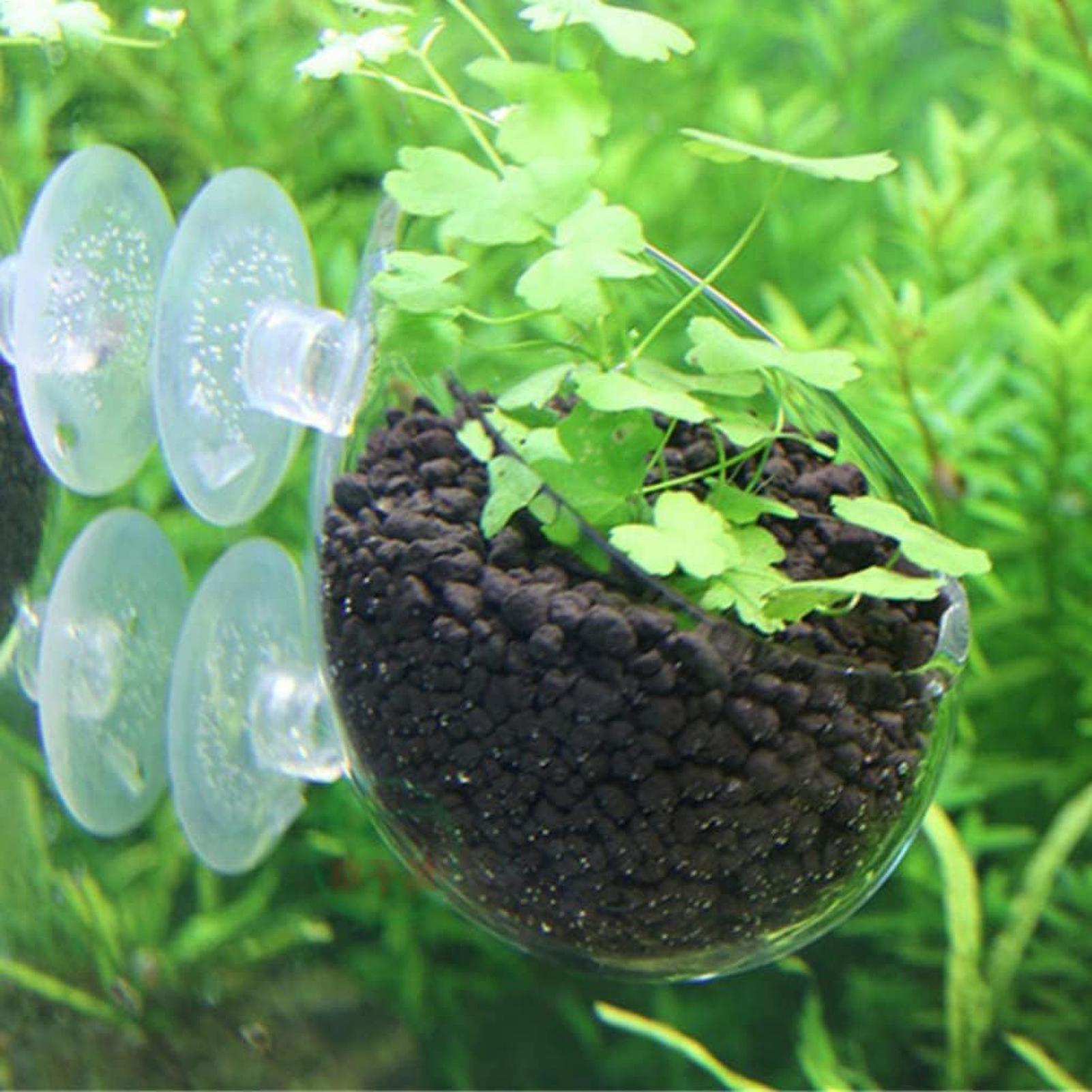 ที่วางต้นไม้ในตู้ปลา กระถางแก้ - Planted Aquarium Aquascape บทวิจารณ์และราคา