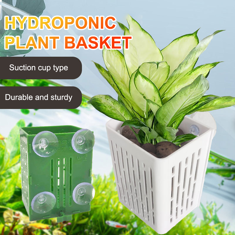 แขวนถ้วยดูด Hook Aquarium Hold - Planted Aquarium Aquascape บทวิจารณ์และราคา