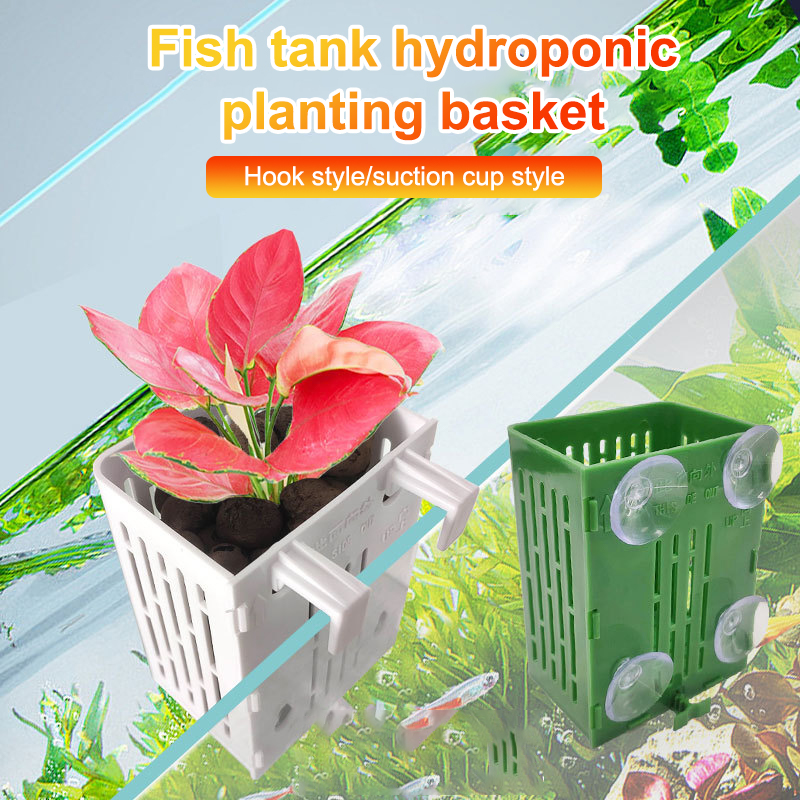 แขวนถ้วยดูด Hook Aquarium Hold - Planted Aquarium Aquascape บทวิจารณ์และราคา