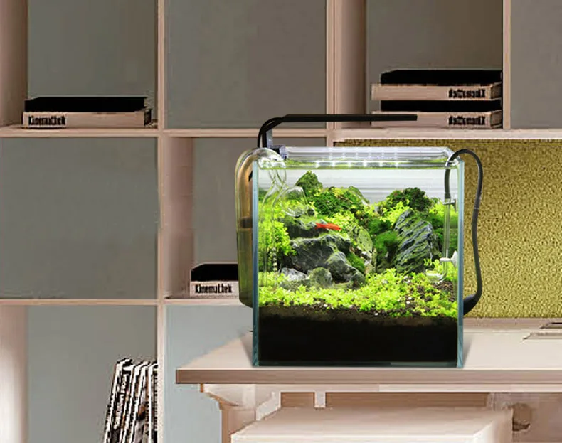 Chihiros C Series ADA สไตล์พืช - Aquarium Plant Diseases บทวิจารณ์และราคา