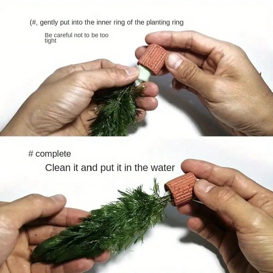 คุณภาพสูง Aquarium Plant Fixat - Planted Aquarium Aquascape บทวิจารณ์และราคา