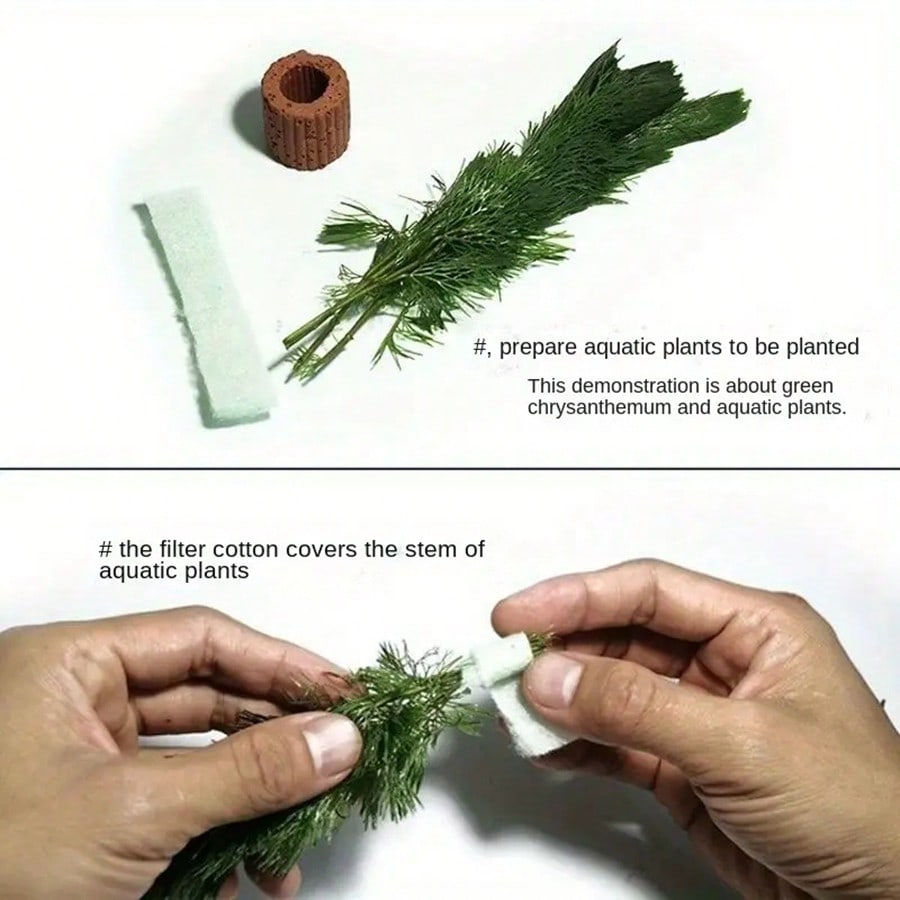 คุณภาพสูง Aquarium Plant Fixat - Planted Aquarium Aquascape บทวิจารณ์และราคา