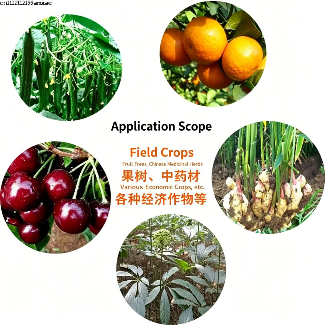 ผงแบคทีเรียบาซิลลัส ซับทิลิส ท - Aquarium Plant Diseases บทวิจารณ์และราคา