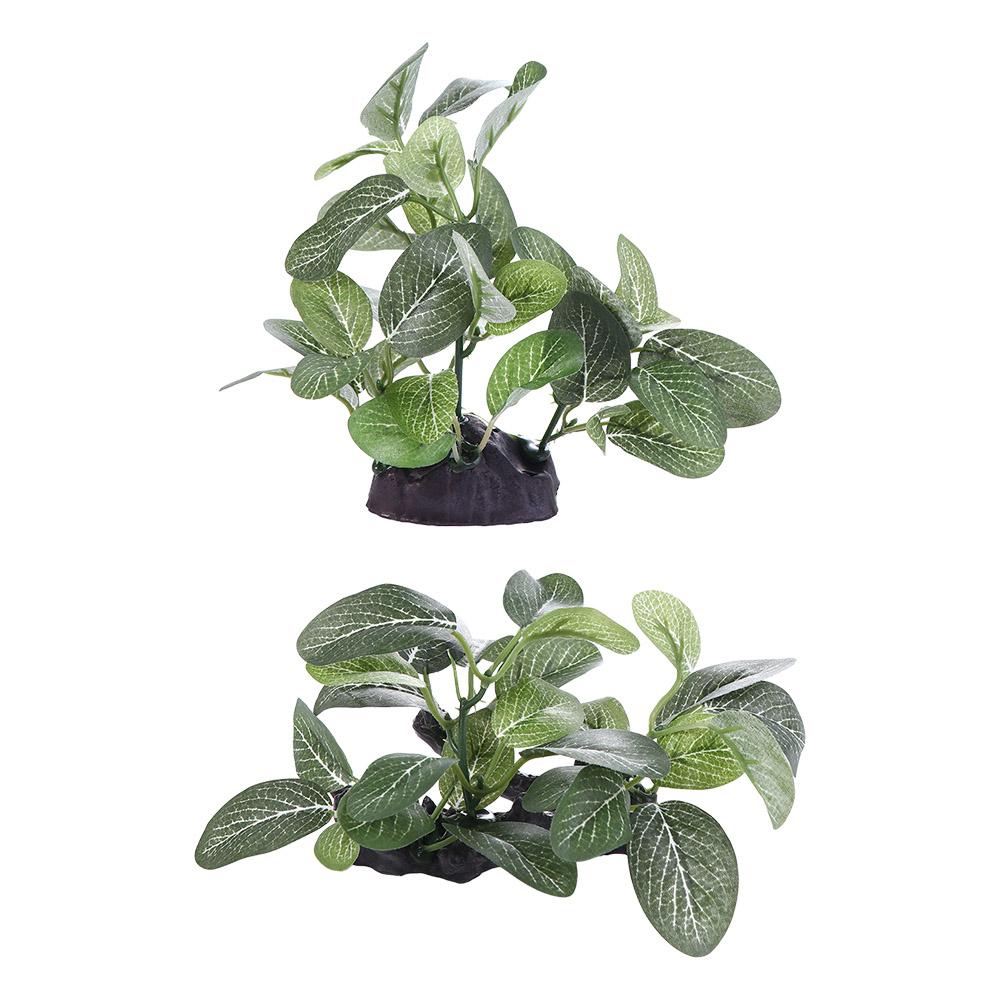 ต้นไม้ประดิษฐ์สีเขียวเหมือนจริ - Planted Aquarium Jar บทวิจารณ์และราคา