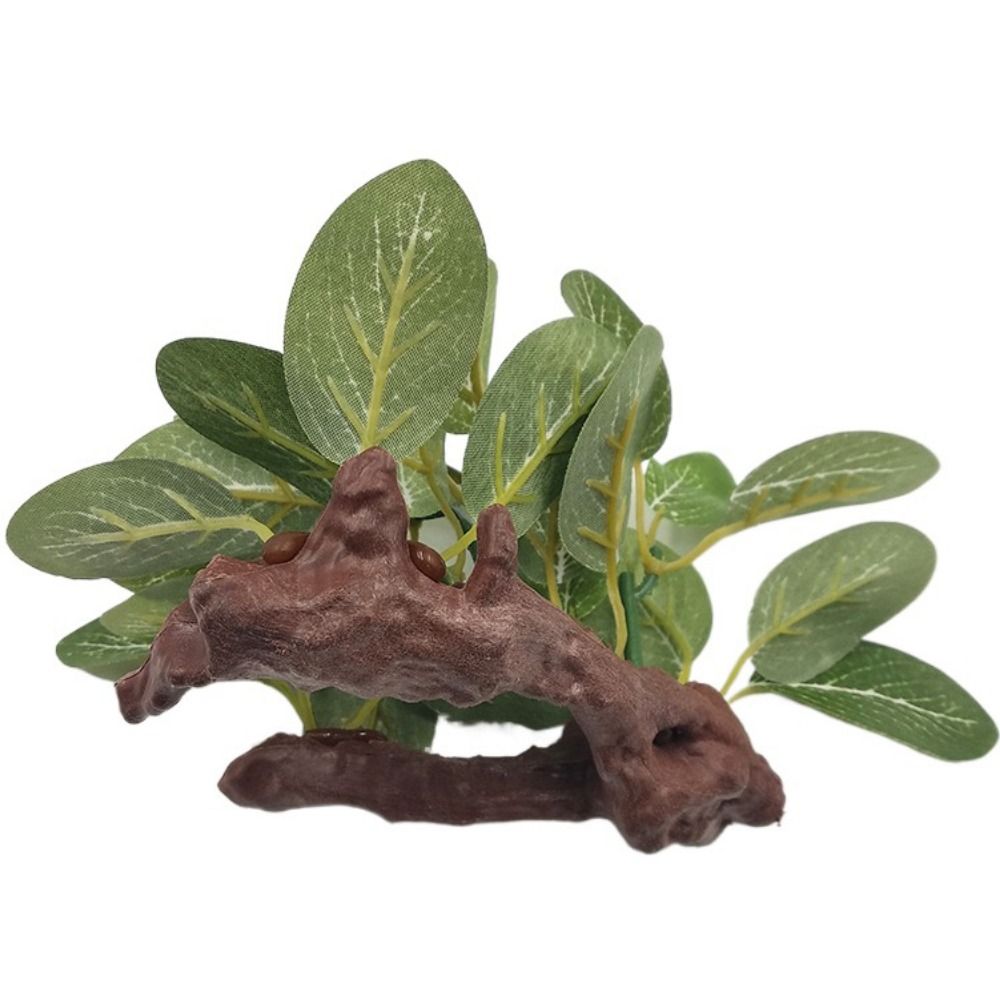 ต้นไม้ประดิษฐ์สีเขียวเหมือนจริ - Planted Aquarium Jar บทวิจารณ์และราคา
