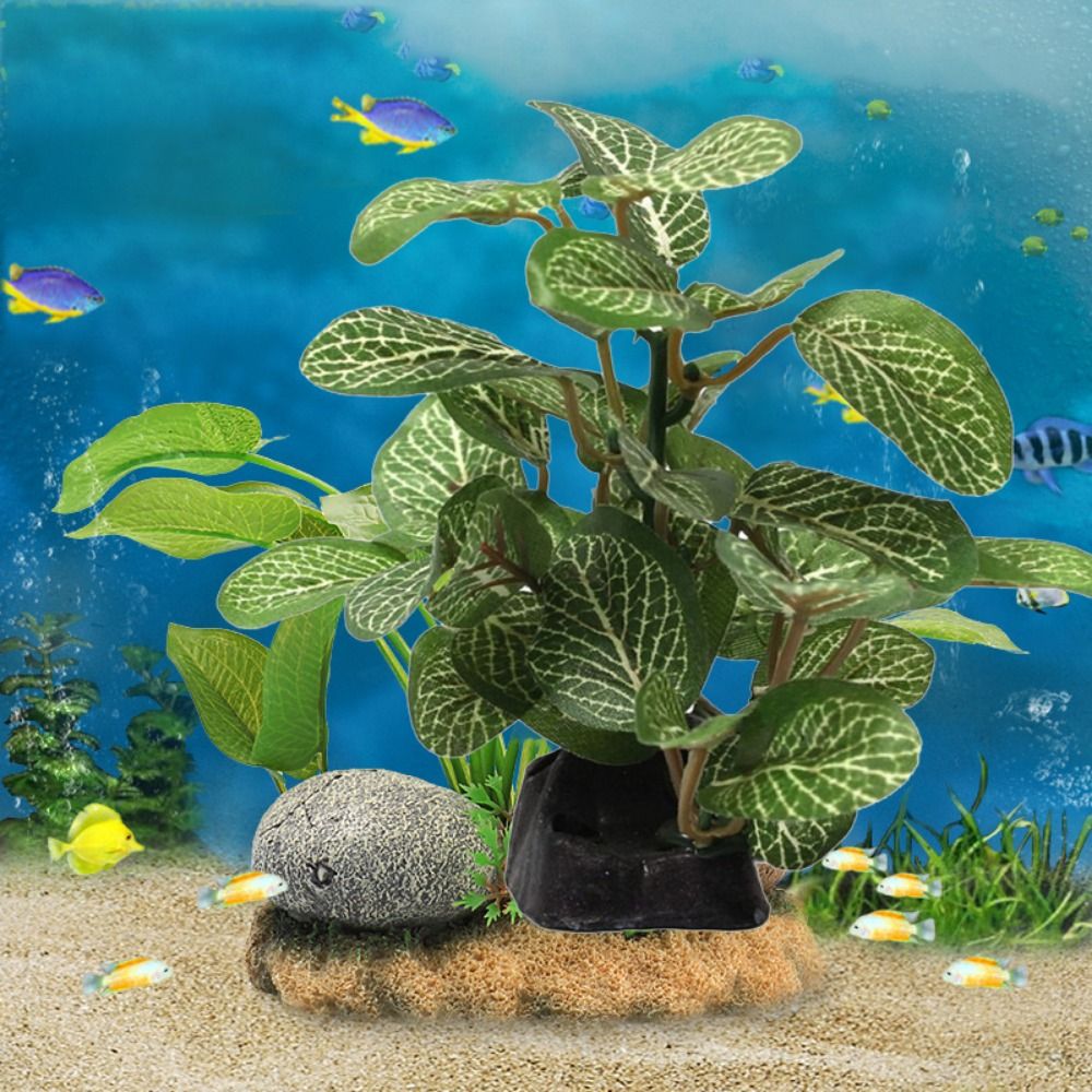 ผ้าไหมพลาสติกสีเขียวสําหรับตกแ - Planted Aquarium Jar บทวิจารณ์และราคา