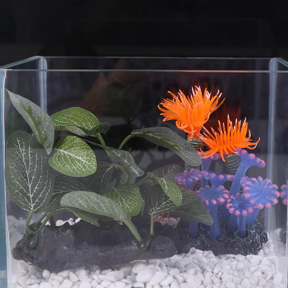 พืชประดิษฐ์พลาสติกเนื้อสัมผัสเ - Planted Aquarium Jar บทวิจารณ์และราคา