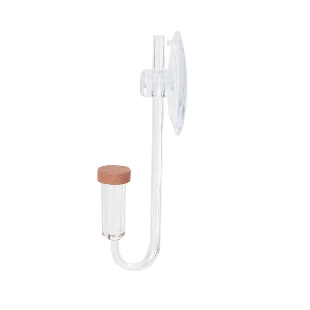 ตู้ปลาอะคริลิคขนาดเล็ก พร้อมต้ - Planted Aquarium Aquascape บทวิจารณ์และราคา