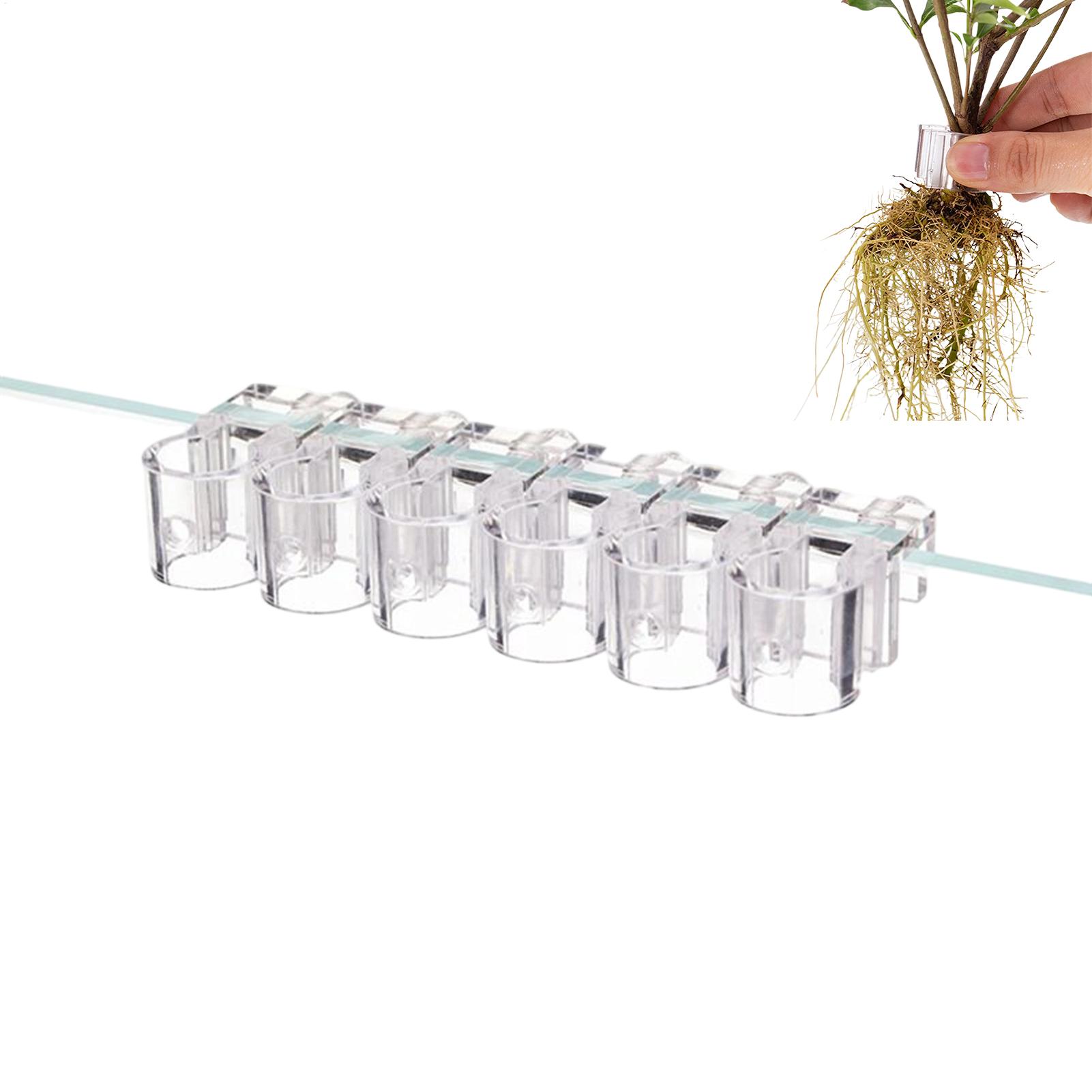 ที่แขวนต้นไม้สำหรับตู้ปลา 6 ชิ - Aquarium Plant Diseases บทวิจารณ์และราคา