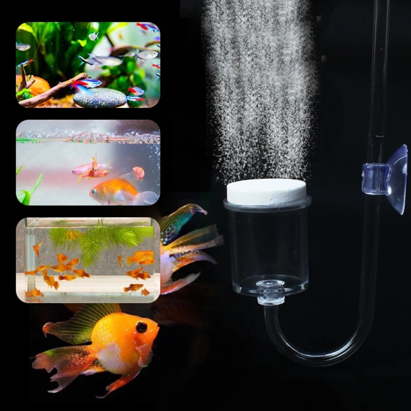 DIY ชุดกระจาย CO2 4ชิ้นสำหรับต - Planted Aquarium Aquascape บทวิจารณ์และราคา