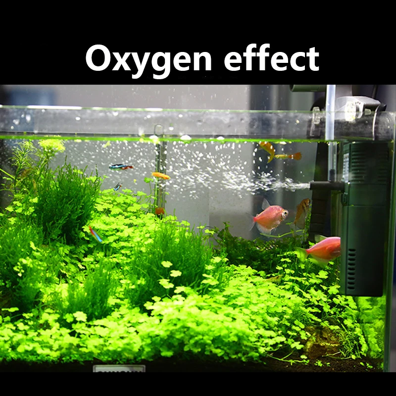 Sunsun 311B 111B ขนาดเล็กนาโน6 - Aquarium Planted Tank Filter บทวิจารณ์และราคา
