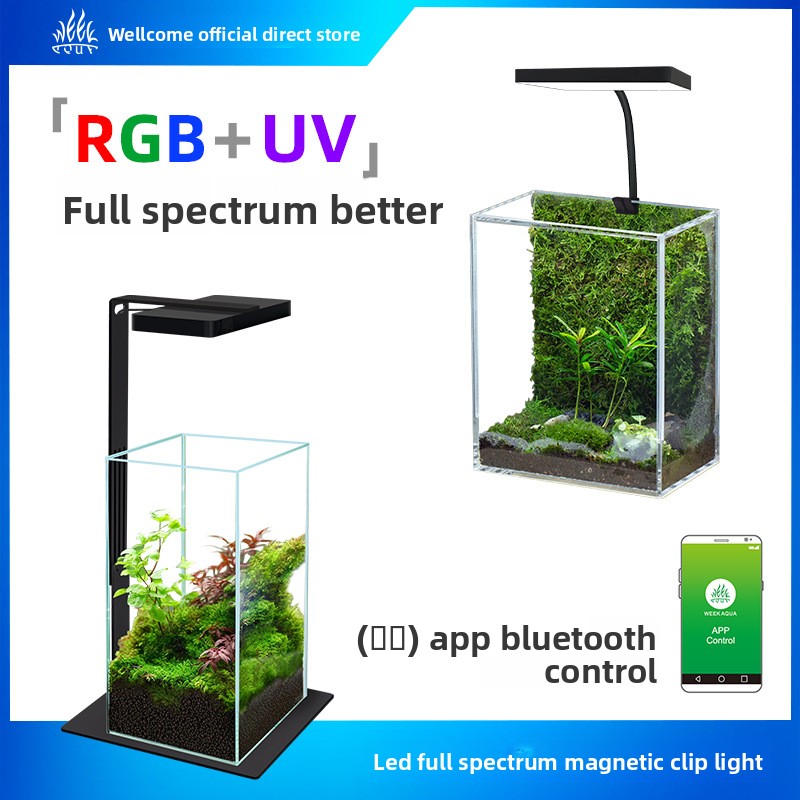 ไฟ LED สำหรับตู้ปลาแบบแม่เหล็ก - Planted Aquarium Jar บทวิจารณ์และราคา